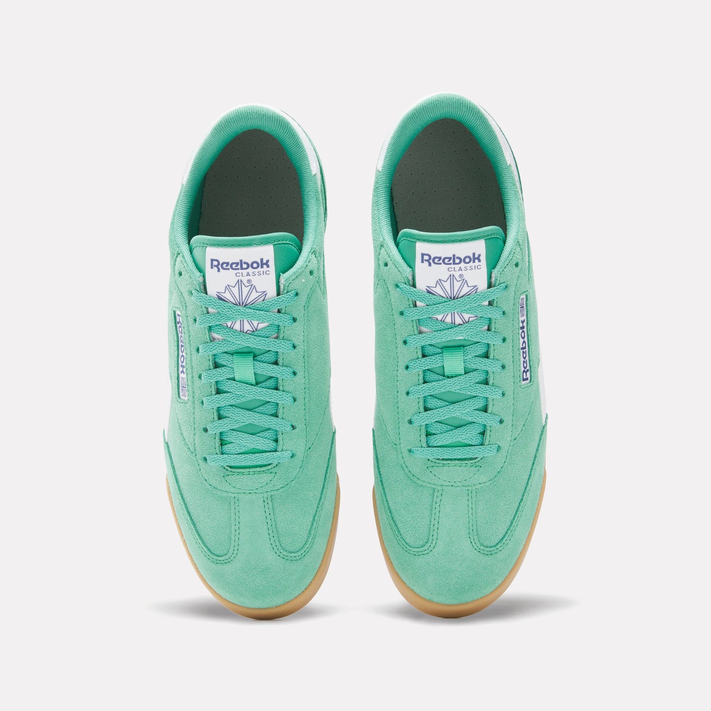 Campio Xt Upgradegreen/Twilightblue/Gum