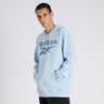 Reebok Identity Fleece Stacked Logo Pullover Hoodie Pale Blue